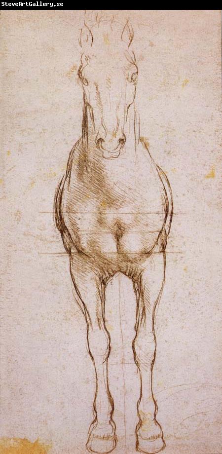 LEONARDO da Vinci Study of the proportion of horses